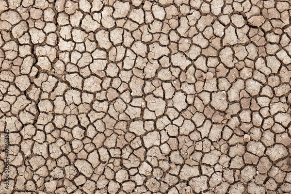 Fototapeta Dry and cracked ground of the road going through the Amboseli desert (aka "Amboseli lake") in Kenya