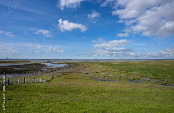 Fototapeta The salt marshes near Nieuwe Statenzijl in the province of Groningen. View of the Eems Dollard with the windmills on the German coast on the other side.
