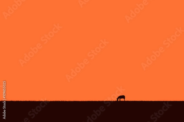 Fototapeta Abstract African skyline with a grazing zebra