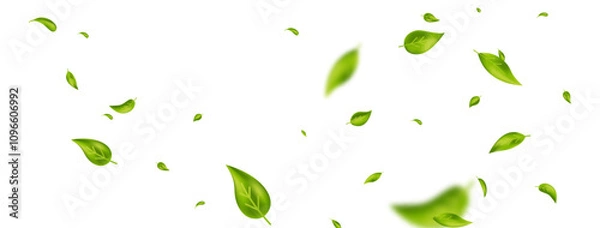 Fototapeta Green falling wave leaves border. Flying foliage ornament. Organic, vegan design element. Leaf eco banner. Cosmetic pattern. Fresh tea background. Beauty product frame. Vector illustration