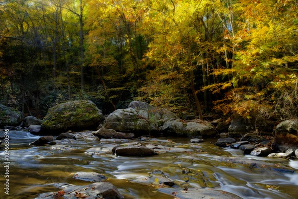 Fototapeta Sunlight filters through a canopy of autumn foliage, casting a warm glow across a flowing creek. Large rocks break the water's surface, adding to the serene forest setting.