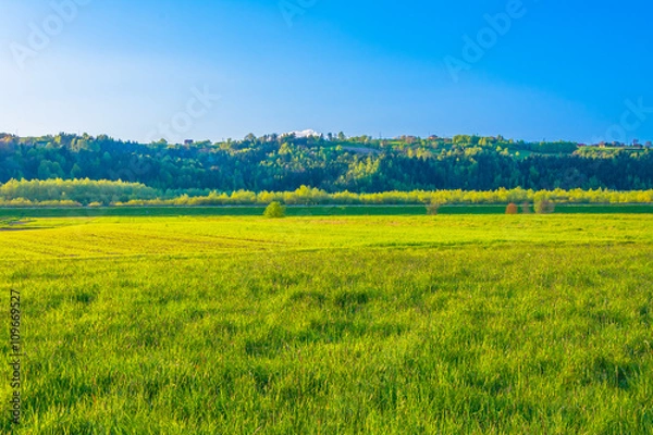Fototapeta łąka o zachodzie słońca