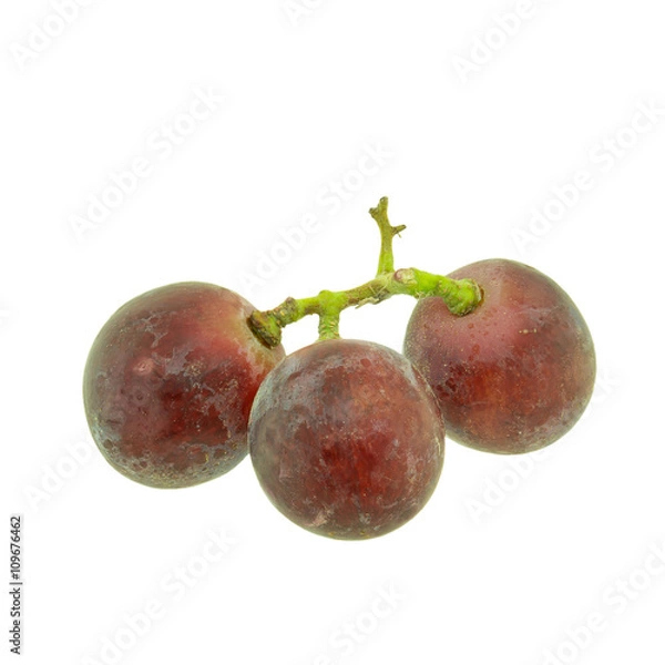 Fototapeta Grapes isolated on white background