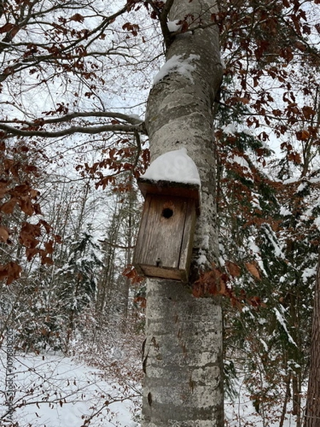 Obraz Birdhouse on a tree, with snow on top