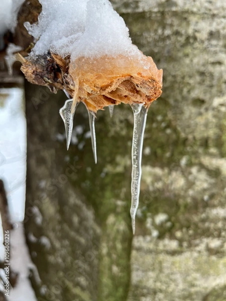 Obraz Small icicle hanging from wood
