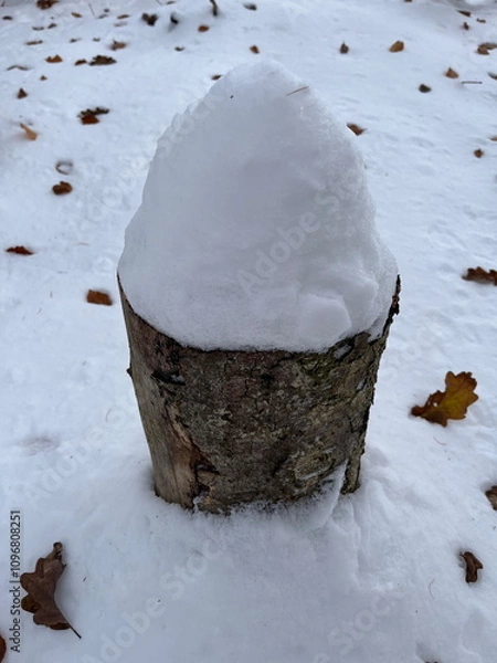 Obraz Small log with a lot of snow on top