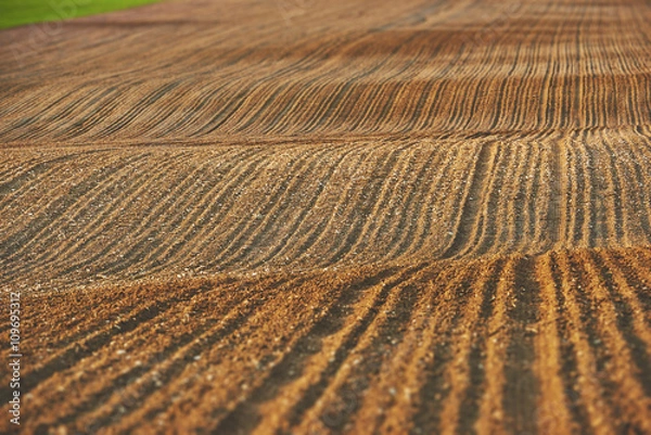 Obraz Świeżo zasiane pole 