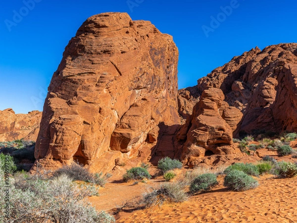 Obraz Das Valley of Fire und seine wunderschönen Felsen