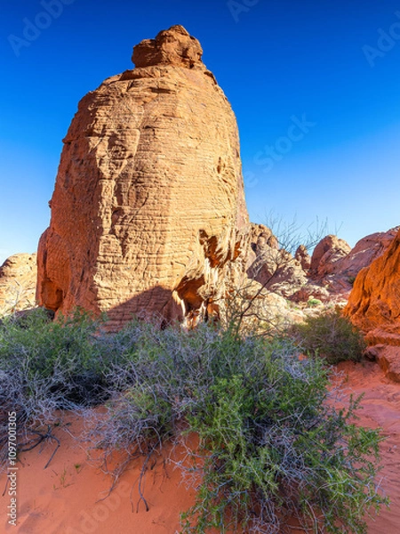 Fototapeta Das Valley of Fire und seine wunderschönen Felsen