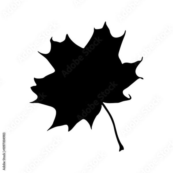 Fototapeta Black silhouette illustration of maple leaf, handmade, for applications and websites, prints