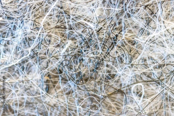 Fototapeta Ultra macro of a piece of grey felt with indvidual tangled  fibres, abstract