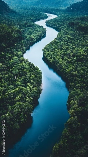 Obraz Aerial view of a winding river through lush green rainforest.