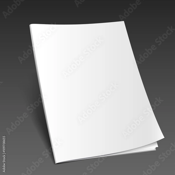 Fototapeta magazine mockup vector2