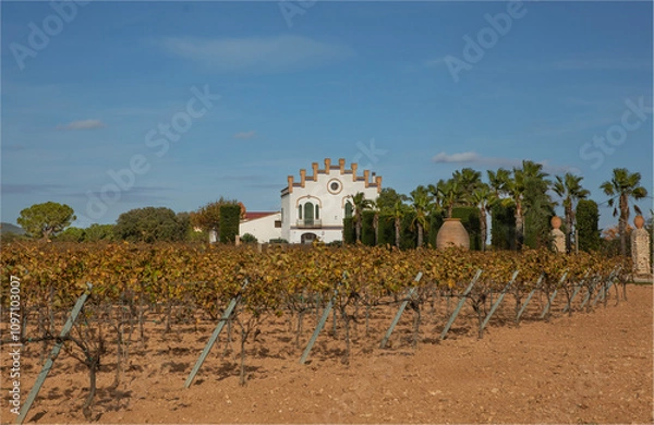 Obraz Traditional style spanish building used as a winery