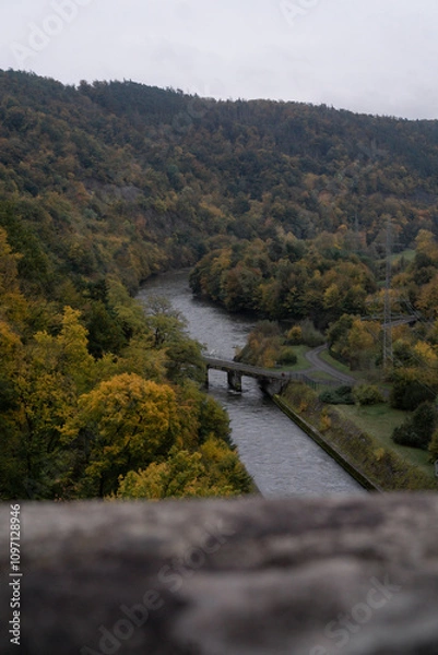 Fototapeta river in the forest in autumn