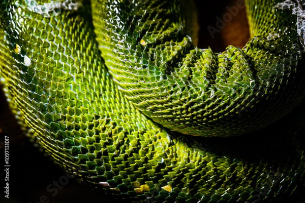 Fototapeta Close-Up of Vibrant Green Snake Scales in Detailed Texture