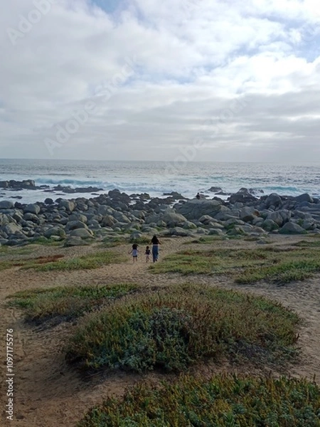 Fototapeta view from the hill