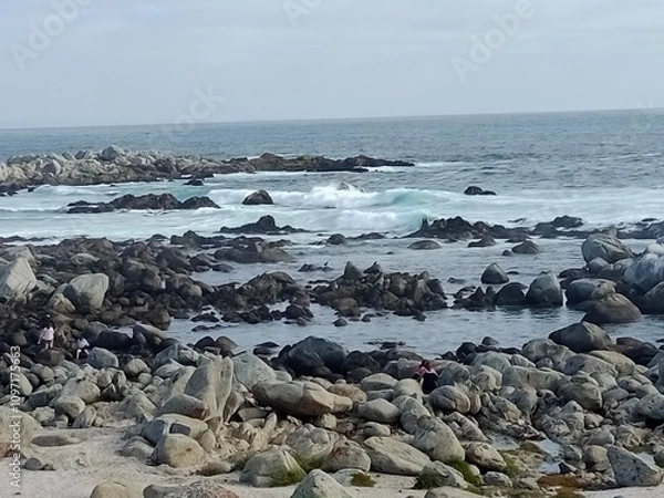 Fototapeta waves on the beach