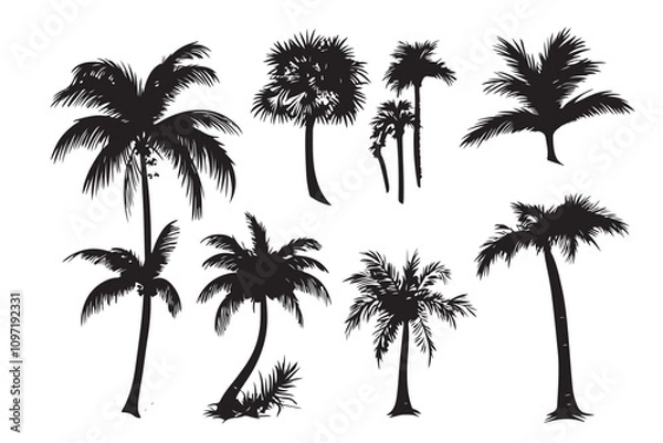 Fototapeta Palm tree silhouette set vector design