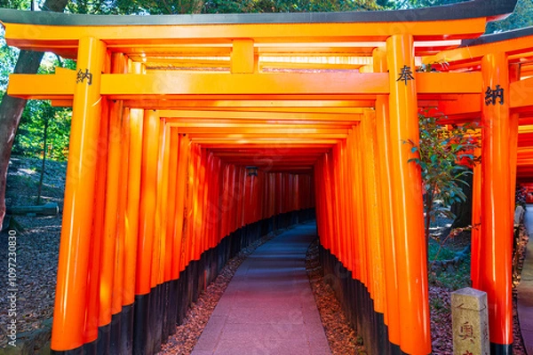 Fototapeta 京都は、伏見稲荷大社の有名な千本鳥居