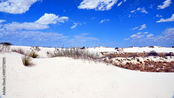 Fototapeta White Sands National Monument U.S located in the state of New Mexico the field of white sand dunes composed of gypsum crystals. The gypsum dune field is the largest of its kind on Earth.