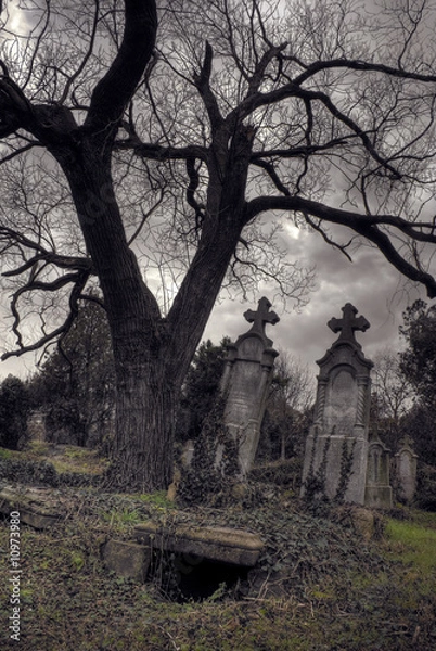 Obraz halloween scene with opened tomb