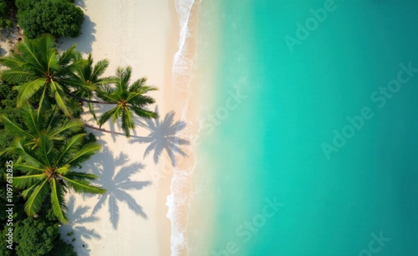 Fototapeta Tropical Beach Aerial View with Palm Trees