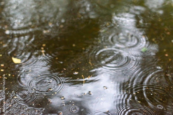 Fototapeta Selective focus photo. Raindrops in puddle.