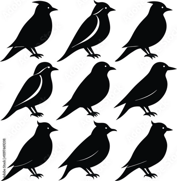 Fototapeta Black Bird Silhouette Vector Art: Illustration of Bird Shapes, Wildlife Graphic Design Element, Animal Icon, Bird Clipart, Isolated Bird Image