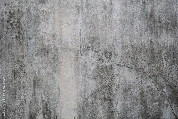 Fototapeta The unpainted cement surface has moss and cracks.