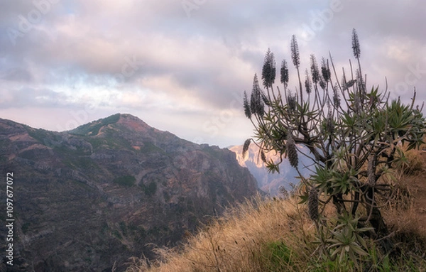 Fototapeta Pico do Arieiro