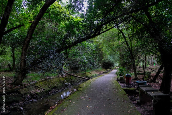 Fototapeta Footpath through the greenery in Pekanbaru city forest.