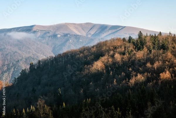 Fototapeta Seasonal natural scene, Kremnica Mountains, Slovakia