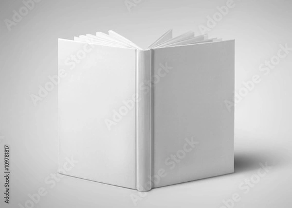 Fototapeta Opened book