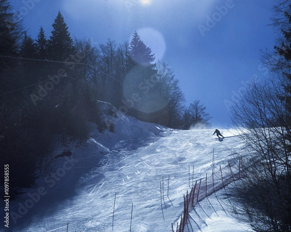Obraz 2022-02-06 . Montenegro. A boy skier going down the slope  from a mountain against the background of trees and a blue sky. Active winter