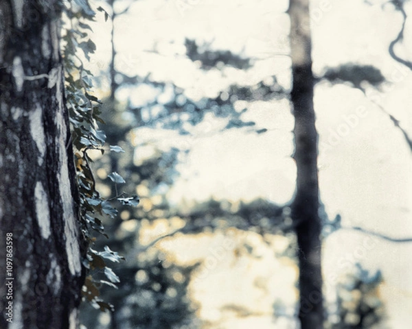 Obraz ivy foreground on a tree trunk