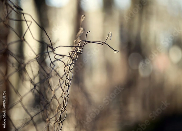 Fototapeta Migration concept - wire fence