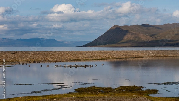 Fototapeta svalbard north pole longyearbyen reflection