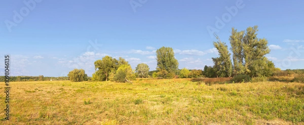 Fototapeta Horizontal composition, landscape, last month of summer or beginning of autumn, already yellowed grass and beginning to turn yellow leaves on trees against the background of a serene blue sky
