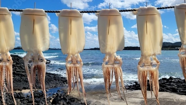 Obraz Squid, semi-dried squid, grilled squid