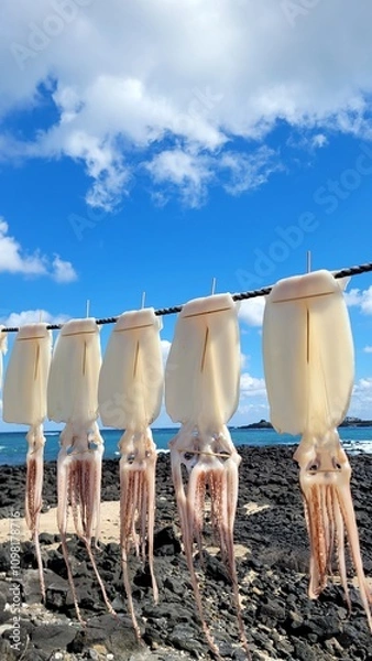 Obraz Squid, semi-dried squid, grilled squid