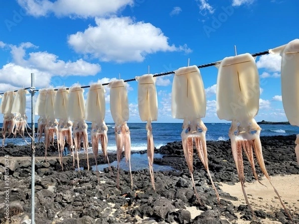 Obraz Squid, semi-dried squid, grilled squid