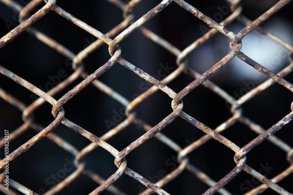 Fototapeta zardzewiały płot