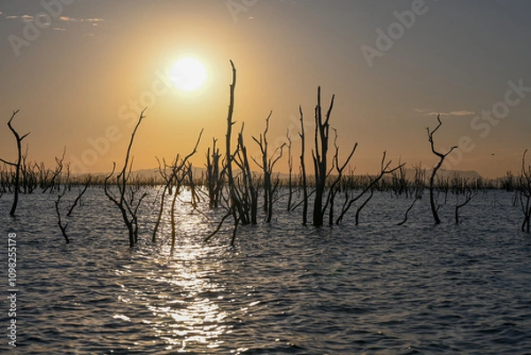 Obraz Tote Bäume im Wasser bei Sonnenuntergang