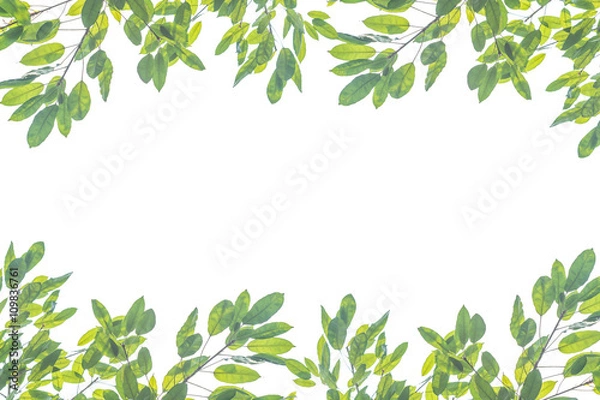 Fototapeta decorated branches background which is good to use for doing graphic design.