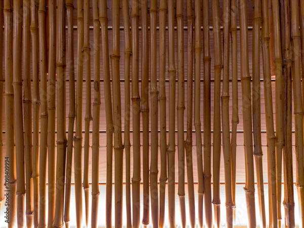 Fototapeta Backlighted bamboo sticks