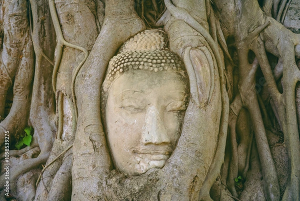 Fototapeta Head statue with trapped in Bodhi Tree roots at Wat Maha That in Ayutthaya Province, Thailand