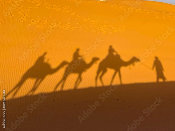 Obraz Sunset shadows of camels in the Sahara desert in Morocco