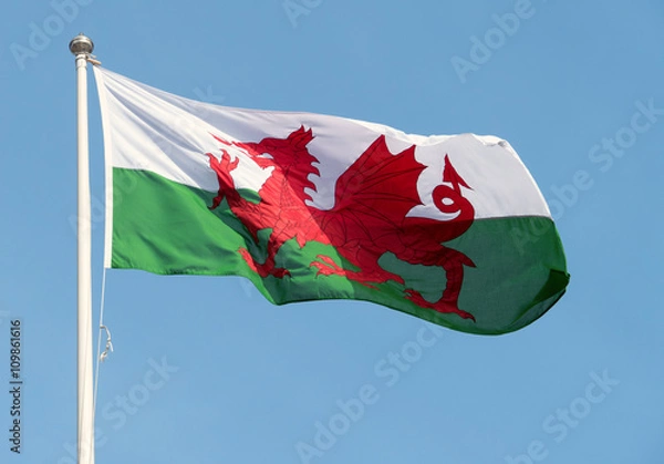 Obraz Welsh flag blowing in the wind.