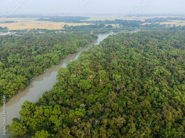 Fototapeta Aerial Drone View of The Sundarbans Mangrove Forest in Khulna, Bangladesh